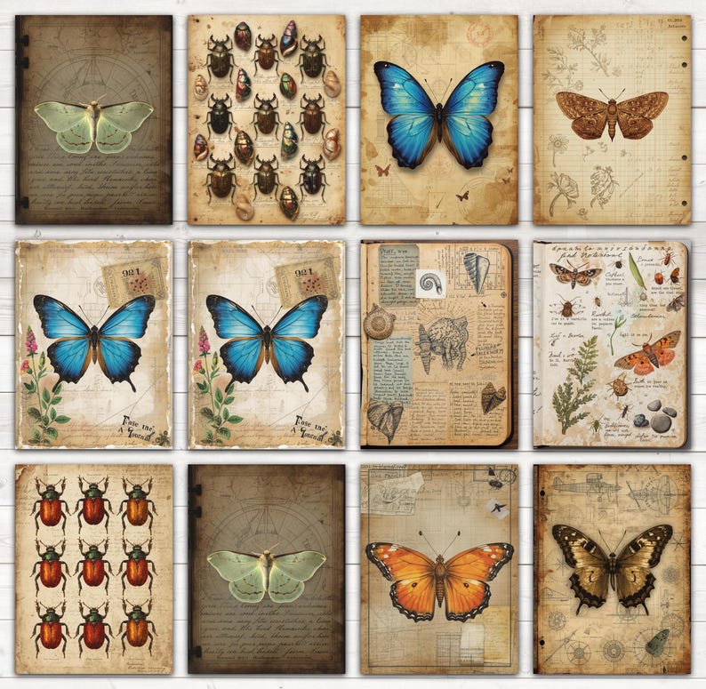 Naturalist Notes Junk Journal Kit, Botanical Specimen Printable ...