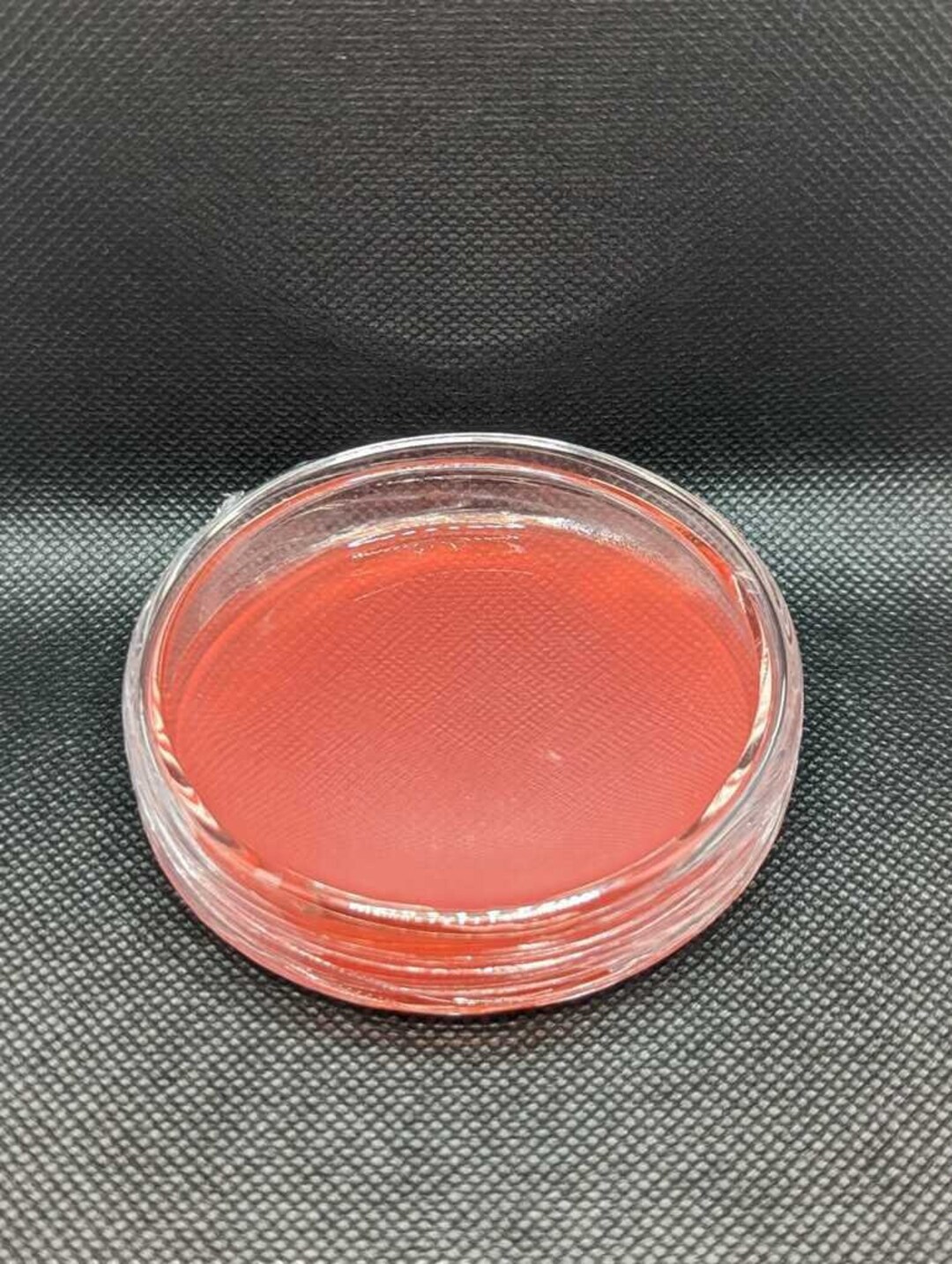 Pre Poured Sterilized Agar glass Petri Etsy