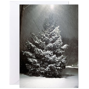 Carte de voeux de Noël - Arbre