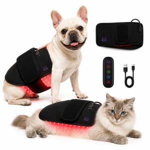 Könnte beinhalten: Eine schwarze therapeutische Bandage mit einem Katzenlogo wird auf einem Hund und einer Katze gezeigt. Die Bandage emittiert rotes Licht. Zusätzliche Artikel sind eine Fernbedienung mit Timereinstellungen und ein USB-Ladekabel. Der Hund ist eine weiße französische Bulldogge.