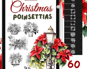 60 Pincel de sello CHRISTMAS Poinsettia para Procreate / / Pinceles Procreate / Floral / Navidad / Vacaciones / Uso comercial / Descarga instantánea