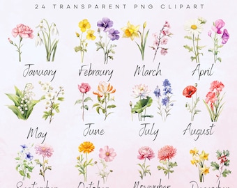 24 Mes de Nacimiento Flores Clipart, PNG Transparente, Acuarela, Rosa, Amapola, Margarita, Caléndula, Tarjetas de Felicitación, Uso Comercial, Descarga Instantánea