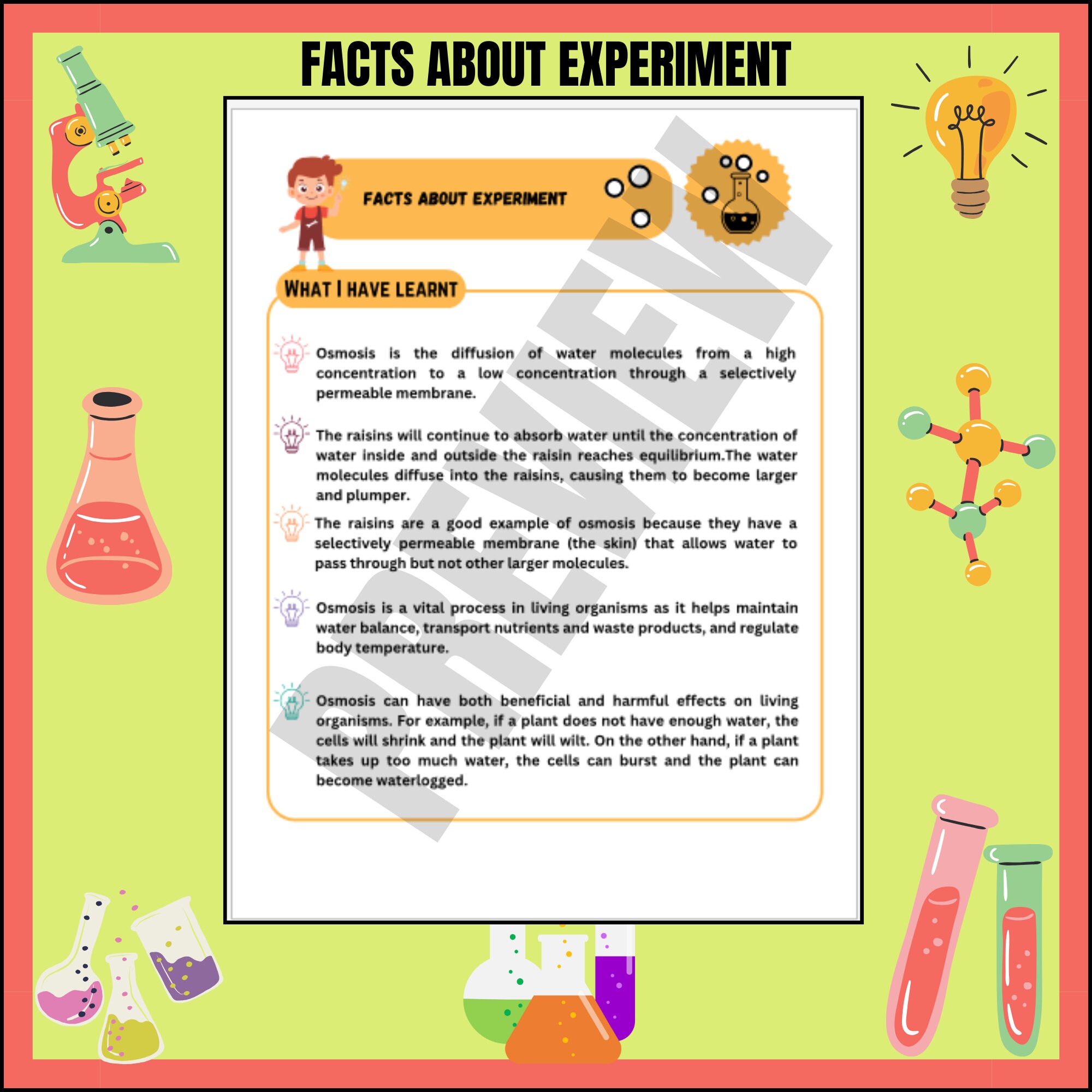 Osmosis Raisin Experiment Scientific Method Science Fair Etsy