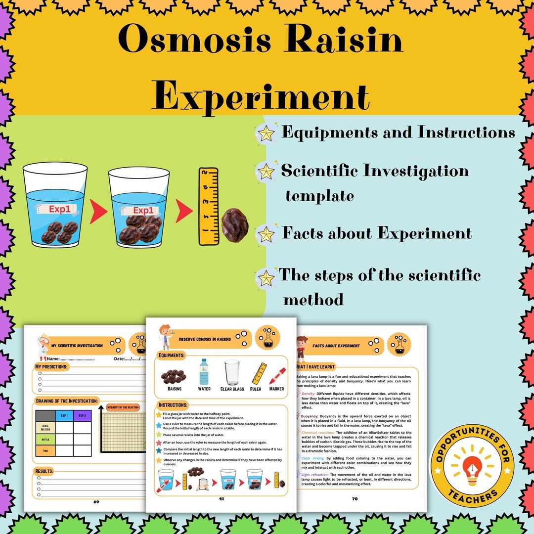 Osmosis Raisin Experiment Scientific Method Science Fair Etsy