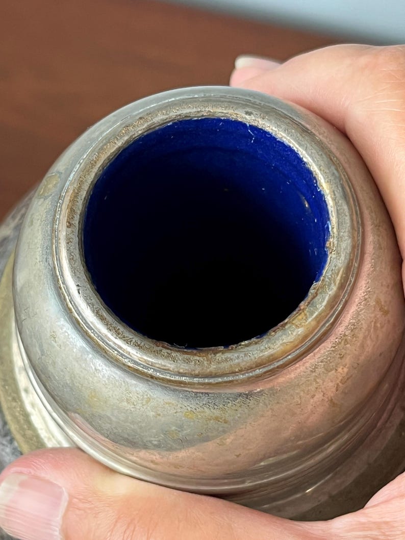 May include: Close-up of a silver-colored container with a dark blue interior. The container has a wide, circular opening and a slightly textured surface. The interior is a deep, rich blue color.