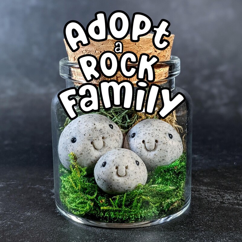 Pet Rock - Etsy