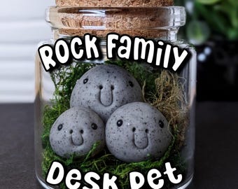 Adopt a Rock Family Desk Pet: Miniature Terrarium Gag Gift