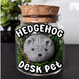 Adopt a Hedgehog Desk Pet, Mini Hedgehog, Hedgehog Jar, Hedgehog Gift