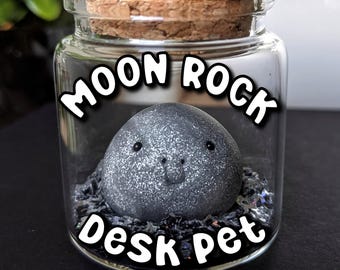 Adopt a Moon Rock Desk Pet