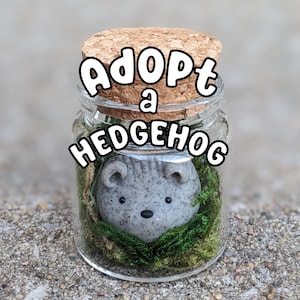 Adopt a Rock Hedgehog Desk Pet