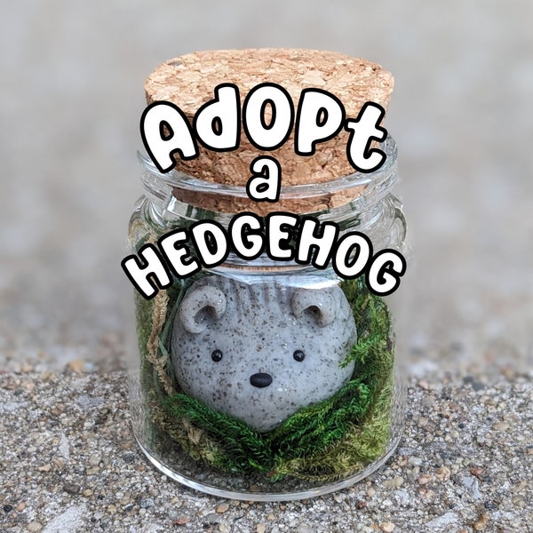 Adopt a Rock Hedgehog Desk Pet