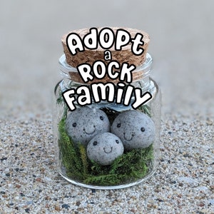 Adopt a Rock Family Desk Pet