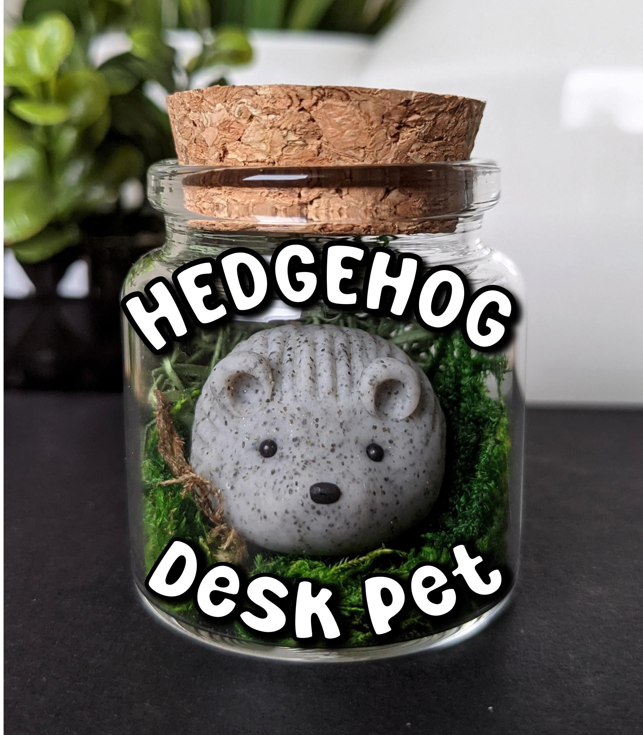 Chia Pet Emoji Poopy (1st Generation) and Hedgehog Decorative Potte