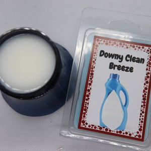 Scented Wax Melts,  100% Soy Wax, Scented Wax cubes.  Buy any 2 wax melts and get a random one free.