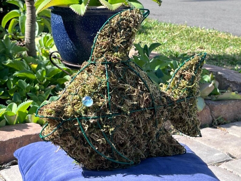 Angel Fish Moss Topiary, Animal Topiary, Tabletop Decor, Garden or