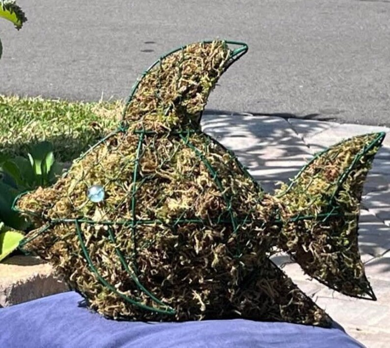 Angel Fish Moss Topiary, Animal Topiary, Tabletop Decor, Garden or