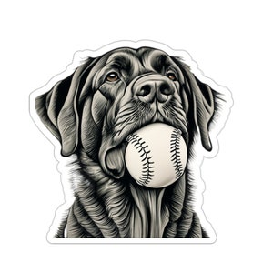 Best Friend Sticker