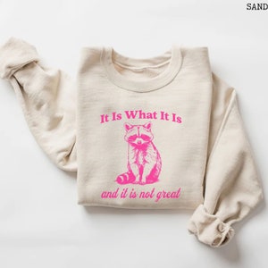 It Is What It Is and It Is Not Great Sweatshirt, Vintage Raccoon Sweatshirt, Retro Sweatshirt Women Trendy, Funny Best Friend Birthday Gift