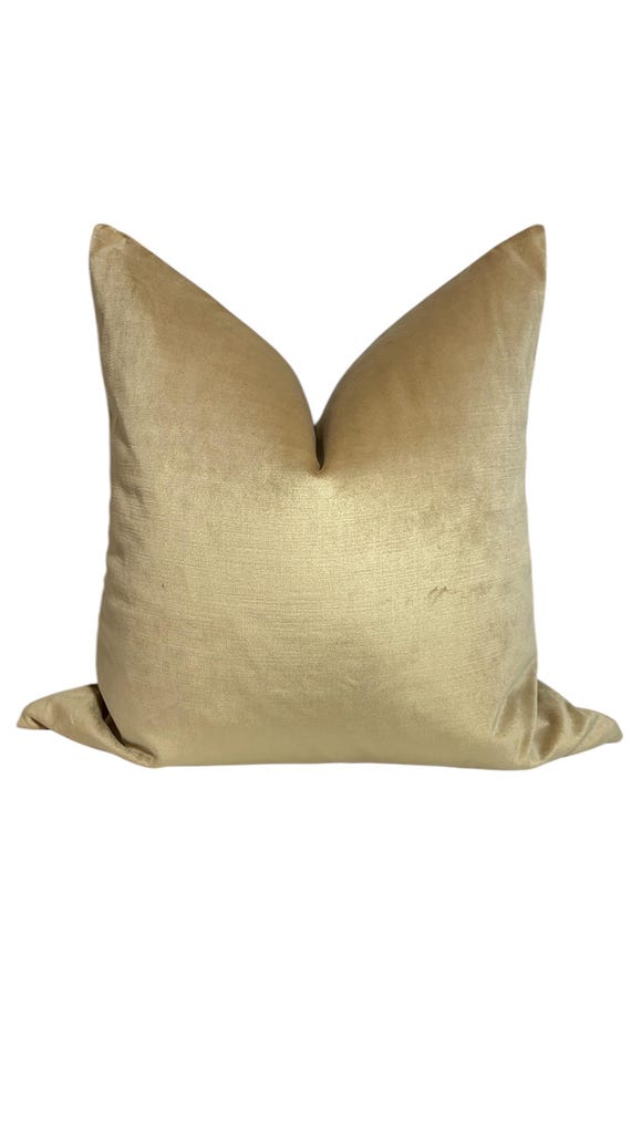 Rustic Gold Throw Pillow, Champagne Velvet Pillow Cover, Golden