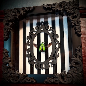 Electric green beetle : Framed Insect / Entomology Art