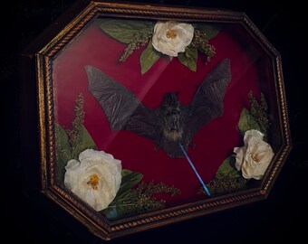 Antique framed bat