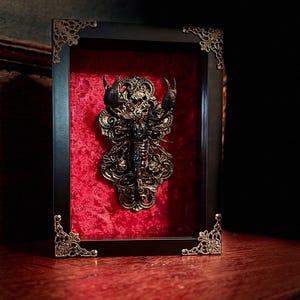 Scorpion : Framed Insect / Entomology Art