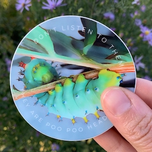 Crecropia Caterpillar Sticker