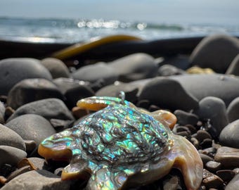 Turtle Abalone Amulet, Handmade, Artisan Jewelry, Spirit Animal, Totem, Longevity Symbol, Mindful, Ocean Lover, Adventurer,