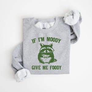 May include: Gray sweatshirt with a green raccoon graphic and the text "If I'm Moody Give Me Foody".