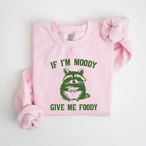 May include: Pink sweatshirt with a green raccoon graphic and the text "If I'm Moody Give Me Foody".