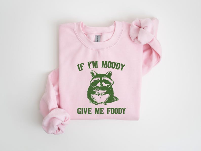 May include: Pink sweatshirt with a green raccoon graphic and the text "If I'm Moody Give Me Foody".