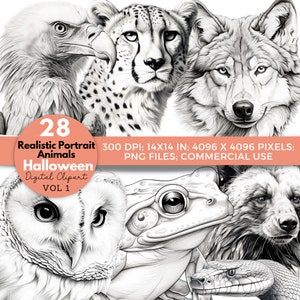 May include: A set of 28 black and white digital illustrations of Halloween animals, including an owl, frog, snake, bear, wolf, cheetah, and eagle. The illustrations are in a realistic portrait style and are perfect for use in digital projects.