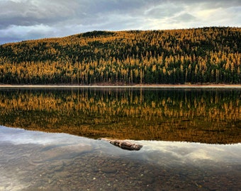 5x7" Giclee Photo Print. Larches on the Lake