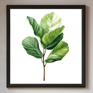 Ficus Lyrata, Cartel de plantas, Arte de plantas, Impresión de plantas, Arte de pared de plantas, Arte de pared imprimible, Planta digital, Naturaleza, Botánico, Flower WallArt