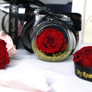 Rose Red Real Eternal Rose In Glass Ball Perfect Valentines gift, Anniversary gift, Birthday gift, Mothers day gift, memorable gifts for her