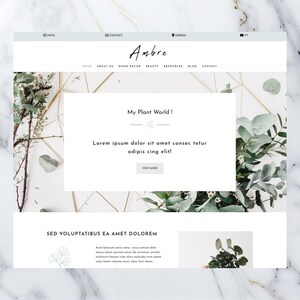 May include: A website homepage with a light green and white color scheme. The website is for a plant-based business called "Ambre". The text "My Plant World!" is displayed on the page, along with the text "Lorem ipsum dolor sit amet consectetur adipiscing elit!" and a button that says "View More".