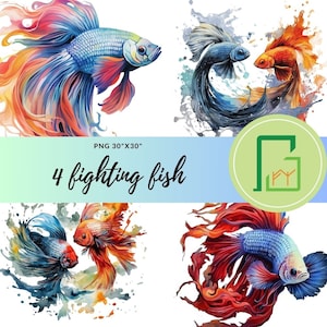 May include: Four watercolor paintings of fighting fish. Each fish is depicted with flowing fins in shades of blue, red, and orange. The fish are set against a white background with splashes of watercolor paint.