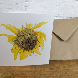 Tournesol