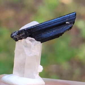 May include: A black tourmaline crystal with striations on a clear quartz crystal.