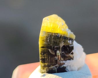 Raro cristallo di tormalina curva con cappuccio verde dall'Afghanistan, grandi vendite di cristalli