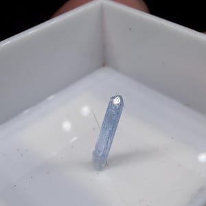 以下が含まれることがあります： 白い正方形の容器の中央に直立した、淡い青色の小さな細長い結晶。結晶は半透明で、表面はわずかにざらついており、上部の面が光を反射して輝いています。