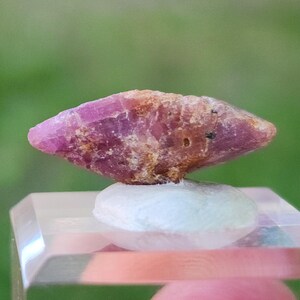 Könnte beinhalten: Ein roher, natürlicher Rubin-Edelstein, der einen leuchtenden rosa-roten Farbton aufweist. Der Rubin ist auf einem weißen, abgerundeten Sockel vor einem verschwommenen grünen Hintergrund montiert. Der Edelstein hat eine raue, strukturierte Oberfläche.