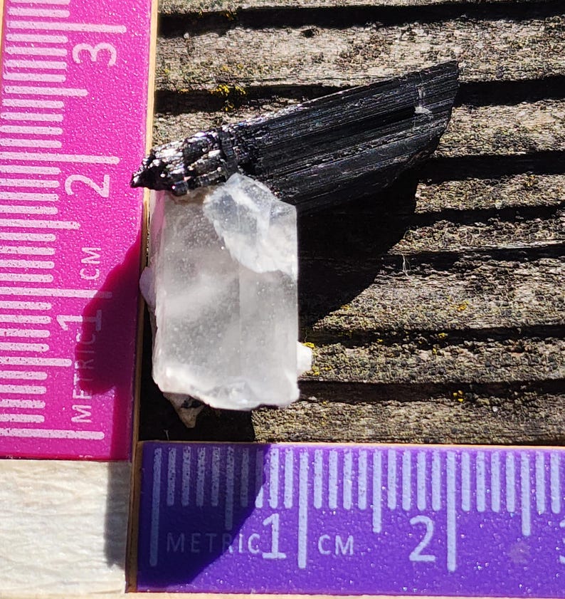 May include: A clear quartz crystal with a black tourmaline point attached. The crystal is approximately 2 cm long and is sitting on a wooden surface.