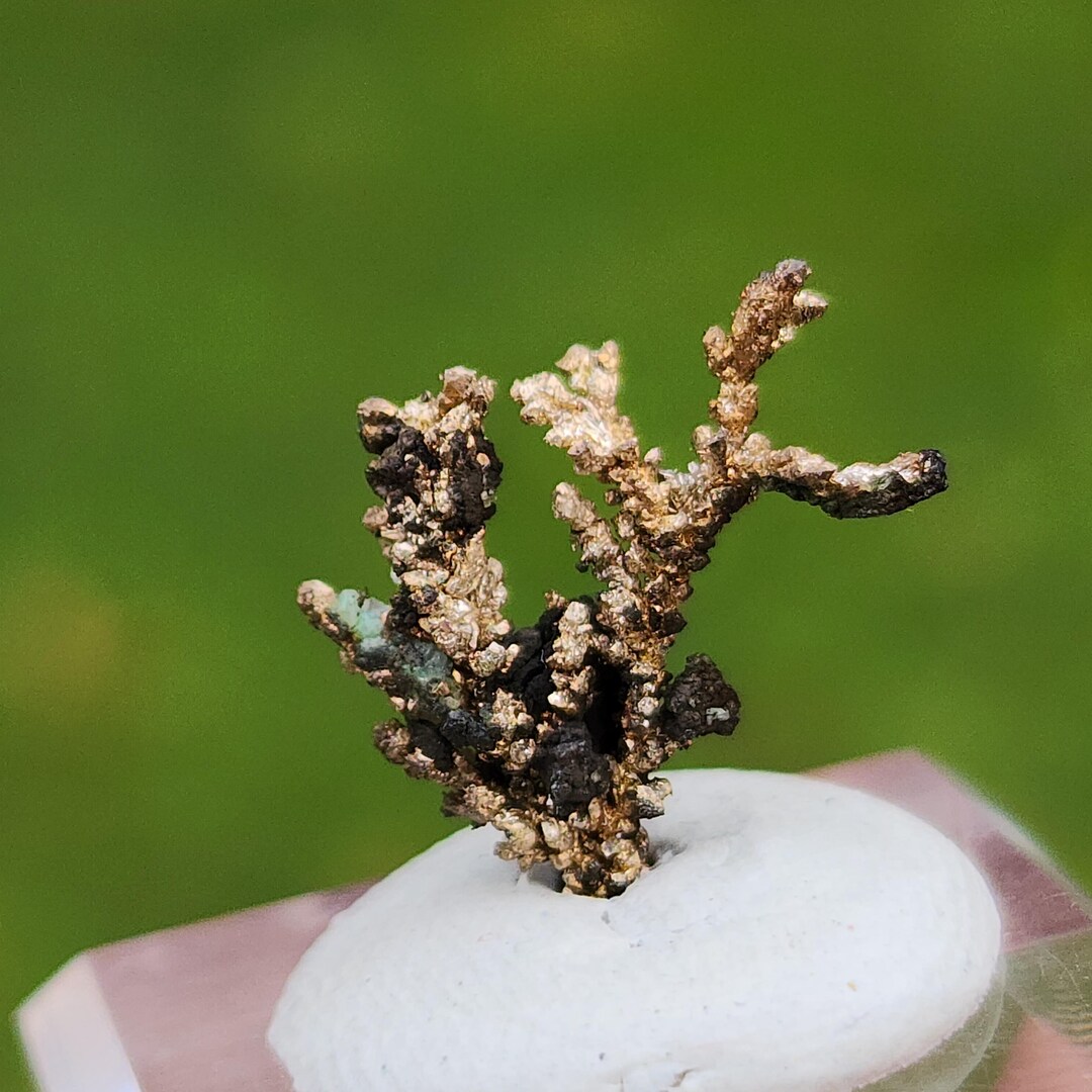 Stunning Tree Structure of Silver Crystals From White Pine Mine ...