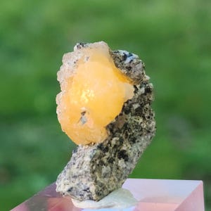 以下が含まれることがあります： 鮮やかなオレンジイエローの丸みを帯びた結晶が、ざらざらしたグレーと黒の岩盤の上に配置された鉱物標本のクローズアップ。 結晶は半透明で、岩は質感のある表面を持っています。 背景はぼやけた緑色です。