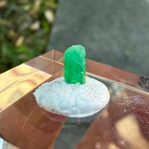 May include: A vibrant green emerald crystal stands atop a small, white, textured stone. The emerald is a bright, saturated green, and the stone has a speckled appearance. The setting is a clear, geometric display case.