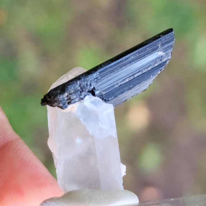 May include: A black tourmaline crystal point atop a clear quartz crystal. The tourmaline is striated and has a sharp point. The quartz is clear and has a smooth surface.