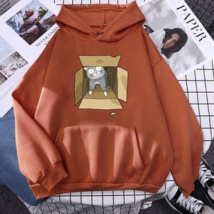 Cat In Carton Box" Cute Cat Hoodie