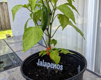 Personalized Floating Custom Plant/Herb Stake/Sign