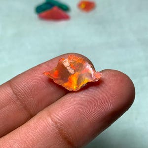 May include: A small, rough, orange and yellow opal gemstone with a white, cloudy center. The opal is being held in a hand.
